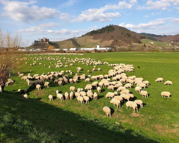 Gasthaus Bleiche